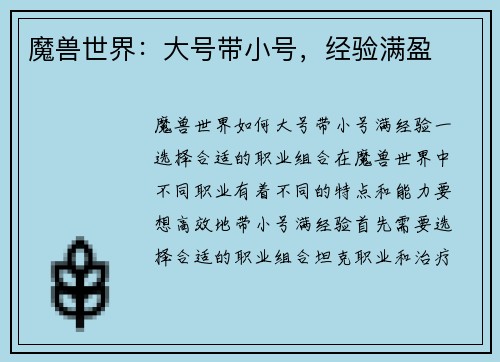 魔兽世界：大号带小号，经验满盈