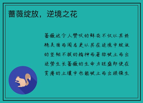 蔷薇绽放，逆境之花